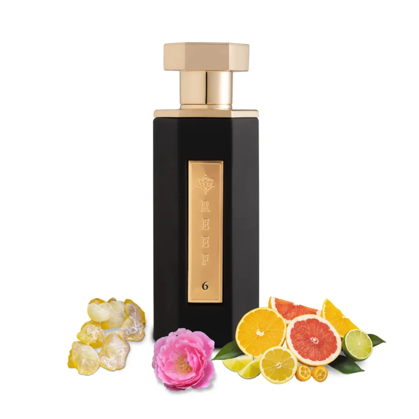 https://cdn.shopify.com/s/files/1/0798/6898/5693/files/Reef-06-EDP-100ml-Reef-Perfumes-184821696.png?v=1772232816