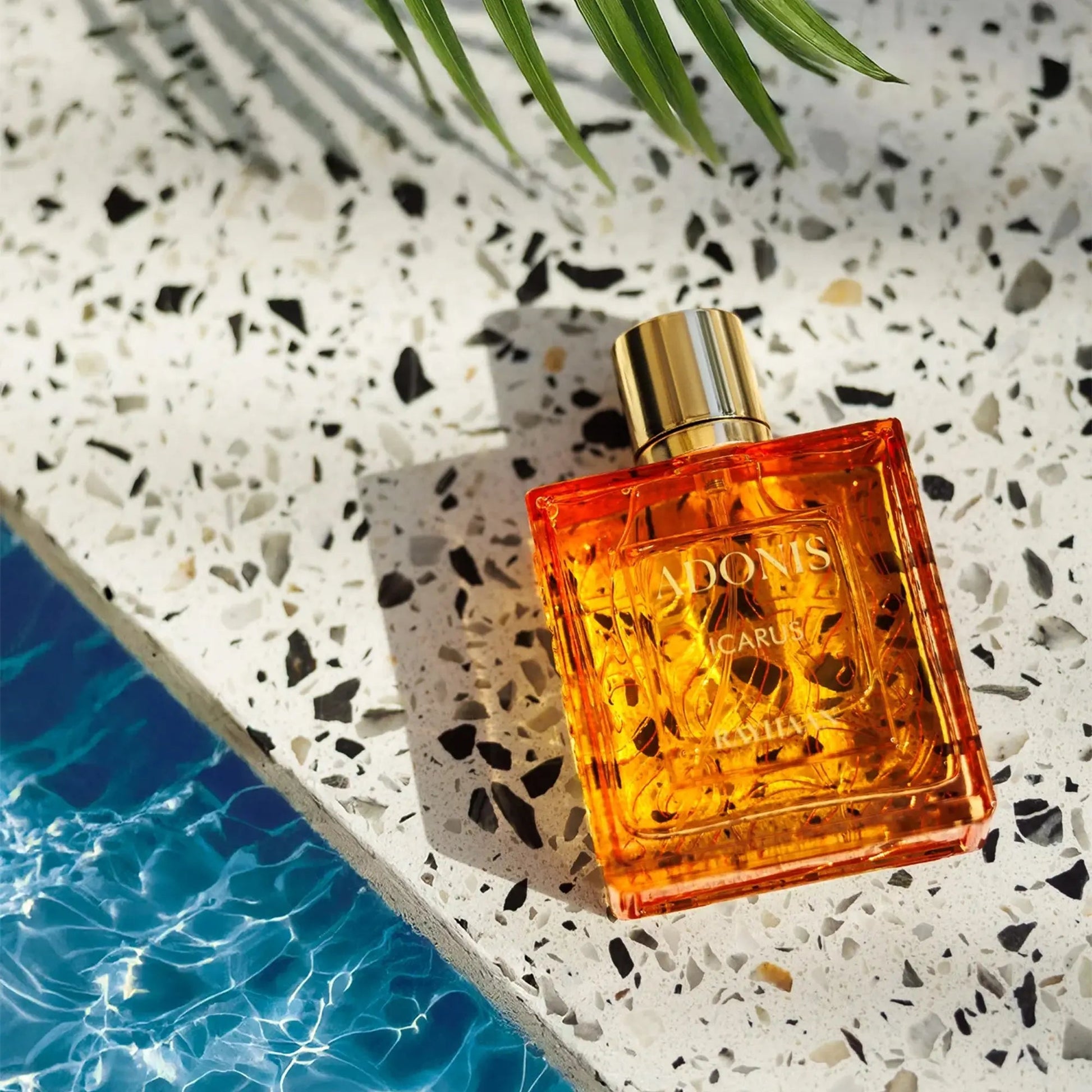 https://cdn.shopify.com/s/files/1/0798/6898/5693/files/Adonis-Icarus-Perfume-100ml-EDP-Rayhaan-177031642.jpg?v=1768781039