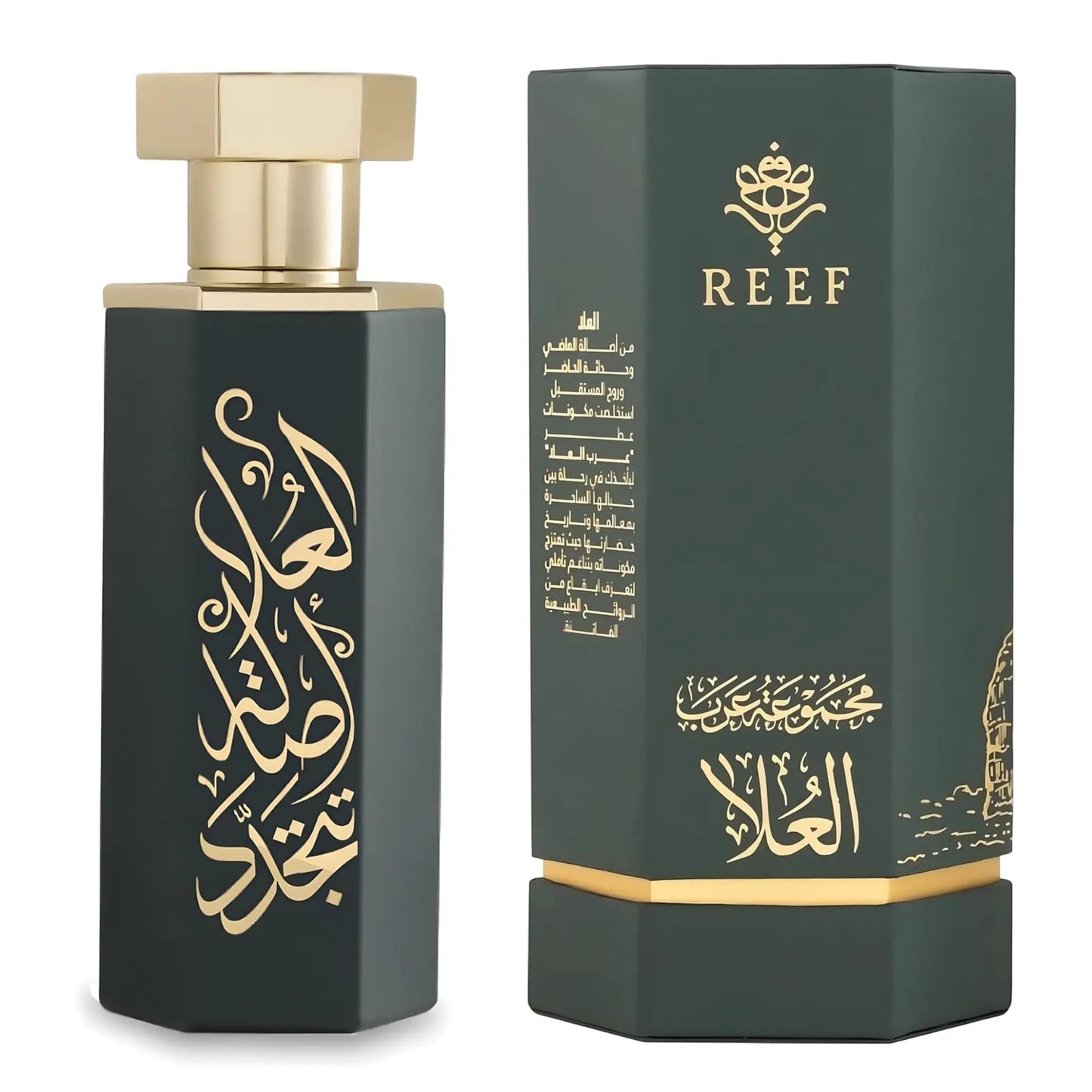 https://cdn.shopify.com/s/files/1/0798/6898/5693/files/Arabs-of-AlUla-EDP-100ml-Reef-Perfumes-179109595.png?v=1772235913