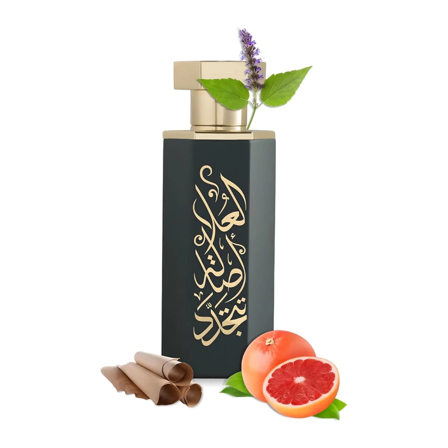 https://cdn.shopify.com/s/files/1/0798/6898/5693/files/Arabs-of-AlUla-EDP-100ml-Reef-Perfumes-179109666.png?v=1772235913