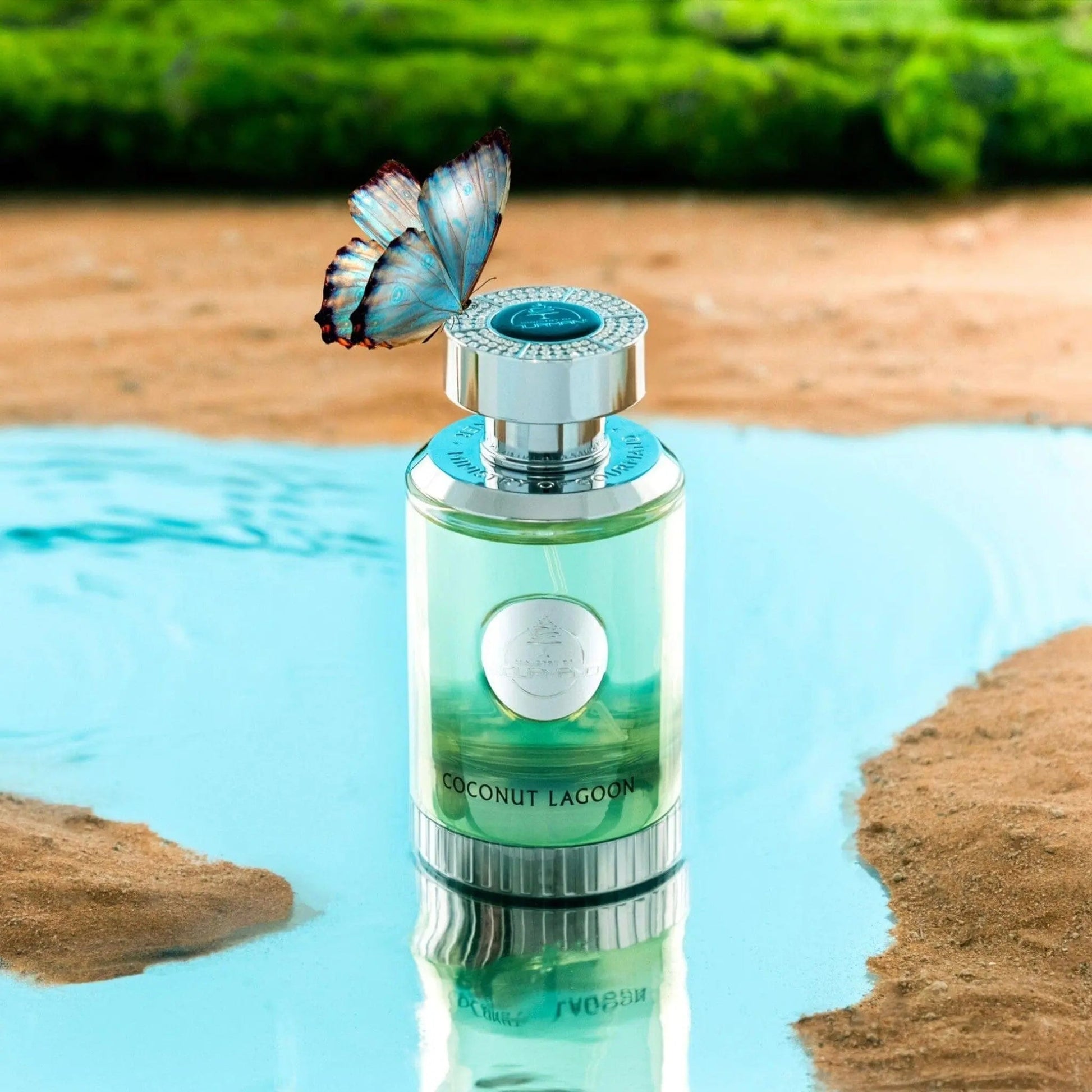 https://cdn.shopify.com/s/files/1/0798/6898/5693/files/Coconut-Lagoon-Perfume-100ml-EDP-Paris-Corner-175279168.jpg?v=1755529487