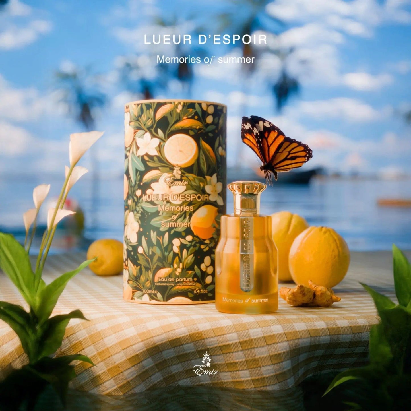 https://cdn.shopify.com/s/files/1/0798/6898/5693/files/Emir-Memories-of-Summer-Perfume-100ml-EDP-Paris-Corner-173897680.jpg?v=1752372039