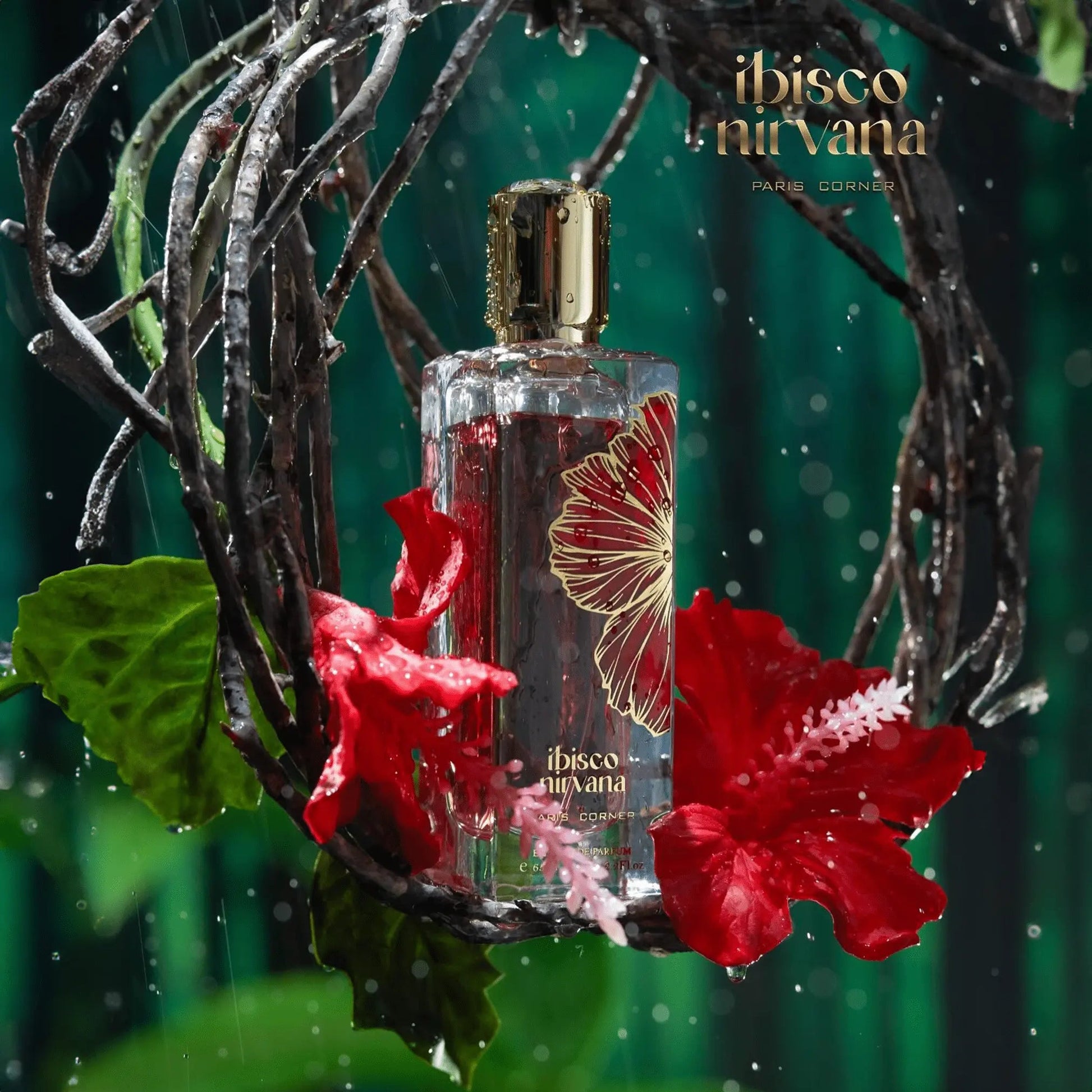 https://cdn.shopify.com/s/files/1/0798/6898/5693/files/Ibisco-Nirvana-Perfume-65ml-EDP-Paris-Corner-176690577.png?v=1757608110
