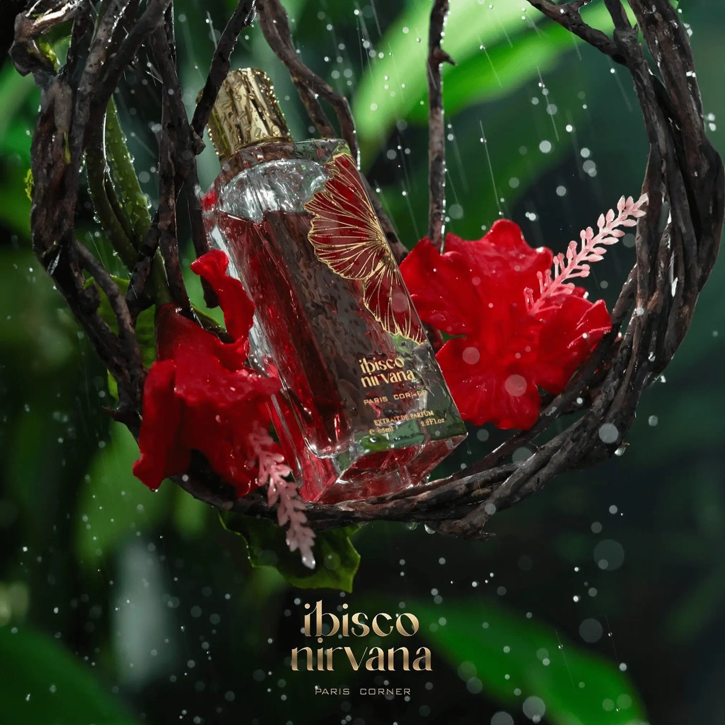 https://cdn.shopify.com/s/files/1/0798/6898/5693/files/Ibisco-Nirvana-Perfume-65ml-EDP-Paris-Corner-176690682.png?v=1757608112