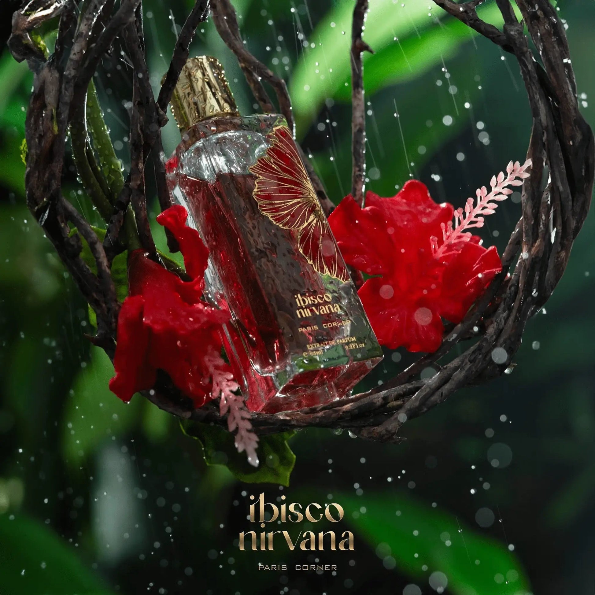 https://cdn.shopify.com/s/files/1/0798/6898/5693/files/Ibisco-Nirvana-Perfume-65ml-EDP-Paris-Corner-176690682.png?v=1757608112
