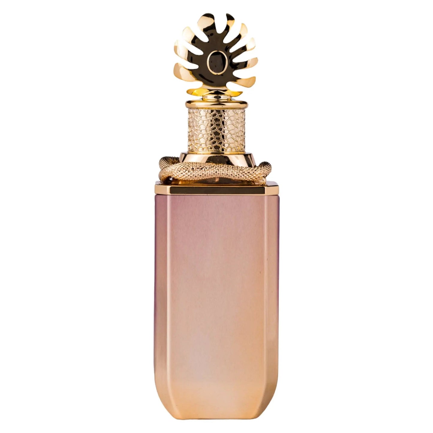 https://cdn.shopify.com/s/files/1/0798/6898/5693/files/Ophidian-Black-Cherry-Perfume-100ml-EDP-Paris-Corner-173896179.jpg?v=1752370280