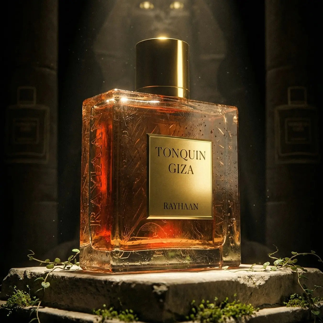 https://cdn.shopify.com/s/files/1/0798/6898/5693/files/Rayhaan-Tonquin-Giza-Perfume-100ml-EDP-by-Rayhaan-183702886.jpg?v=1769243475