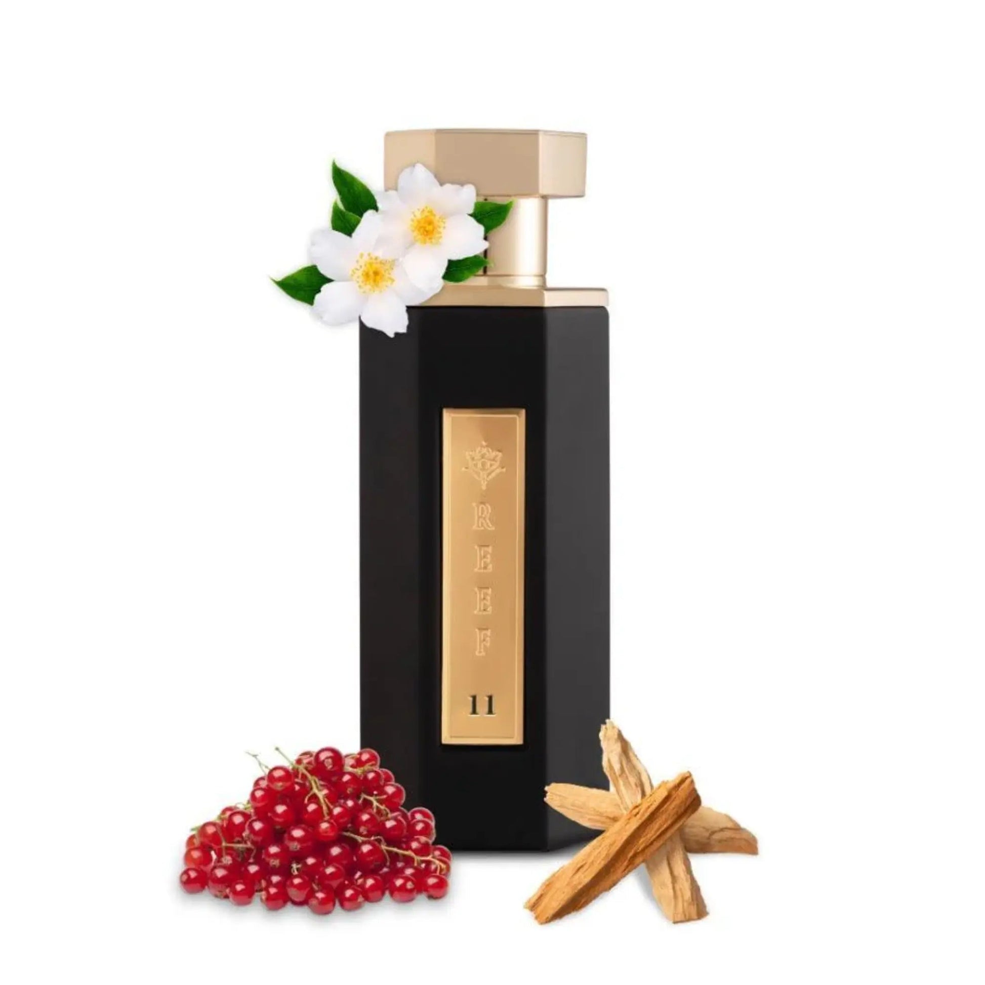 https://cdn.shopify.com/s/files/1/0798/6898/5693/files/Reef-11-EDP-100ml-Reef-Perfumes-179111643.png?v=1768953275