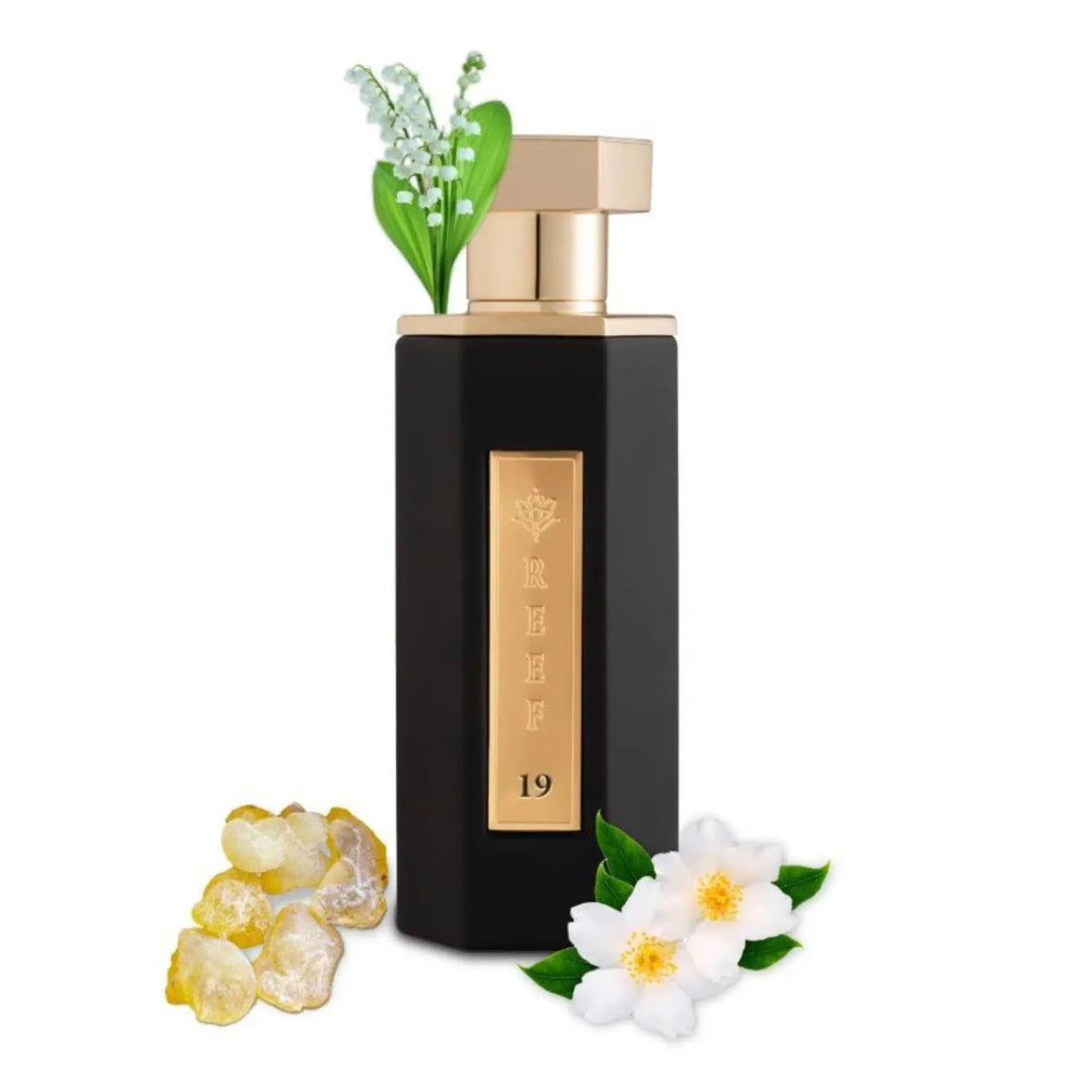 https://cdn.shopify.com/s/files/1/0798/6898/5693/files/Reef-19-EDP-100ml-Reef-Perfumes-179111991.png?v=1768953338