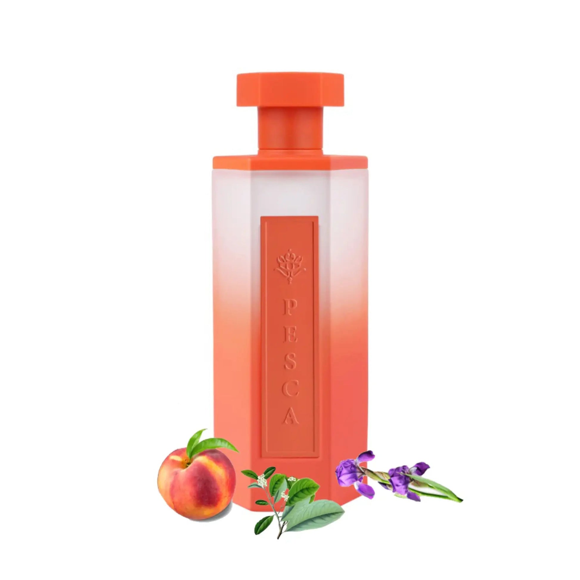 https://cdn.shopify.com/s/files/1/0798/6898/5693/files/Reef-Pesca-EDP-200ml-Reef-Perfumes-180407640.png?v=1768953402