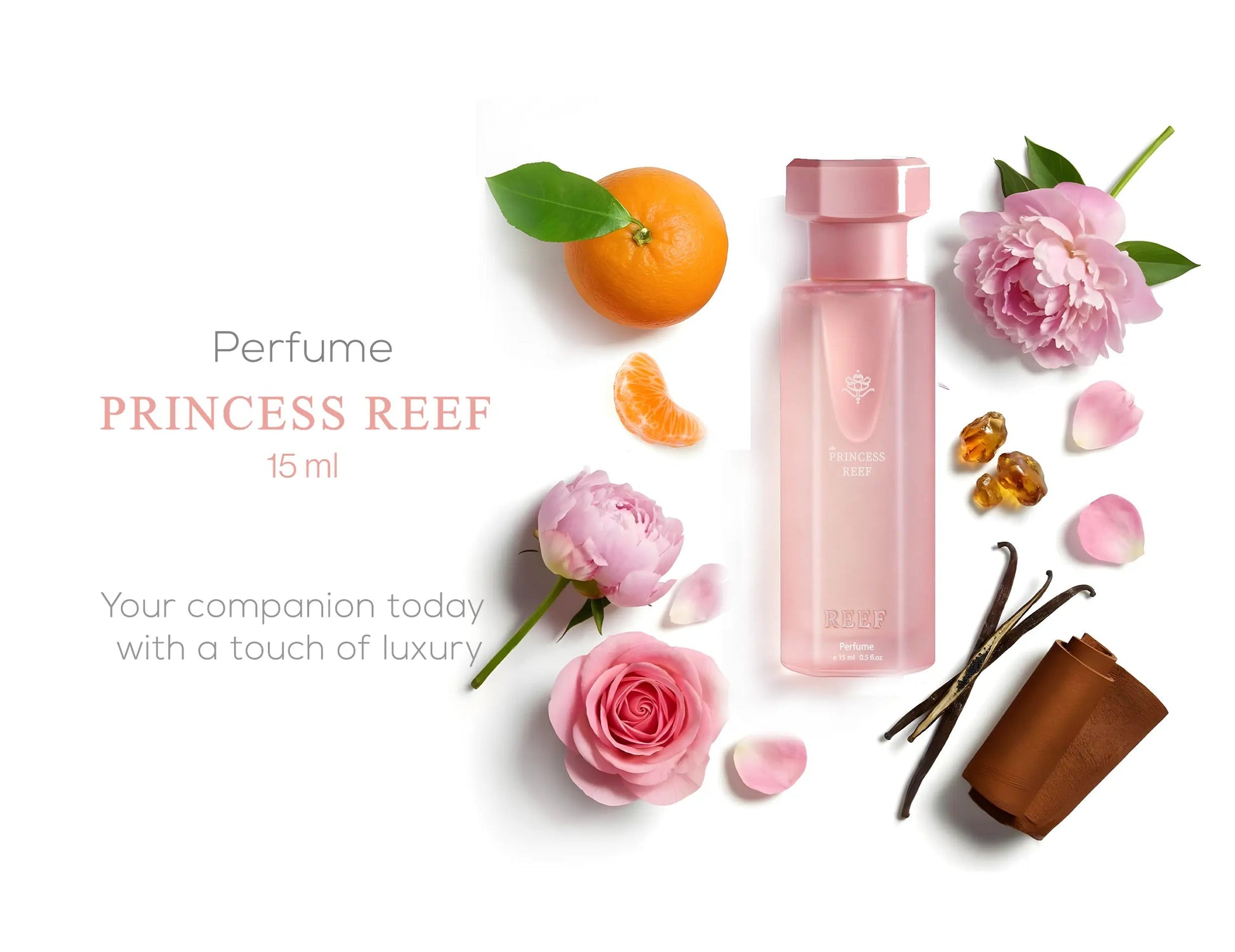 https://cdn.shopify.com/s/files/1/0798/6898/5693/files/Reef-Princess-Box-Collection-Set-by-Reef-184822524.png?v=1772233806