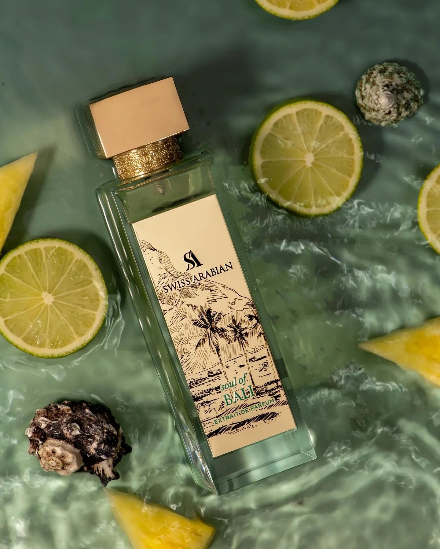 https://cdn.shopify.com/s/files/1/0798/6898/5693/files/Soul-Of-Bali-Extrait-De-Parfum-100ml-Swiss-Arabian-173902666.jpg?v=1752376913