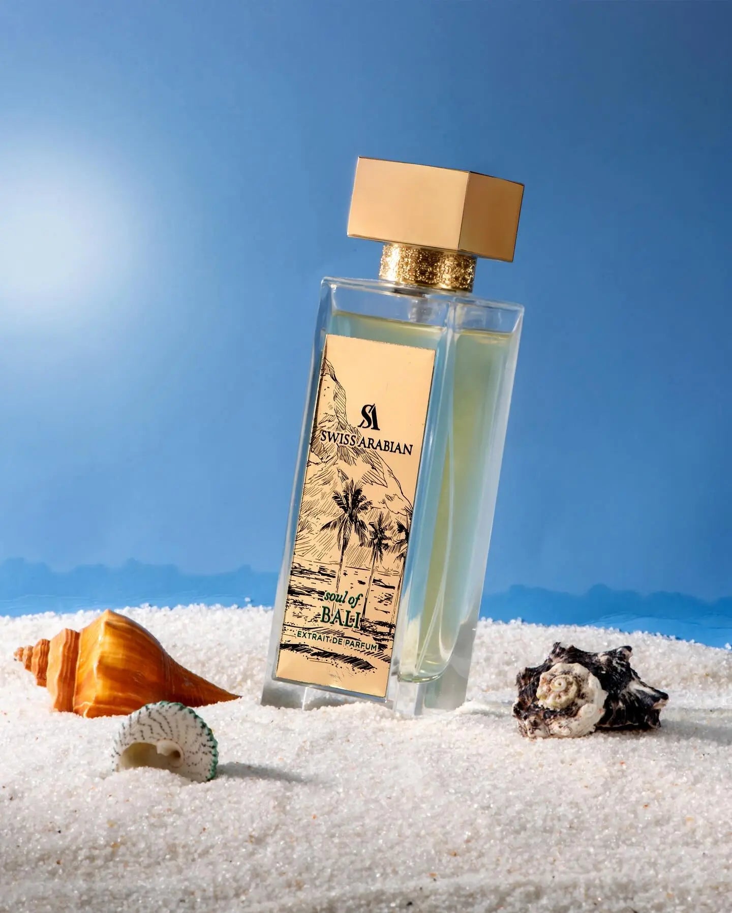 https://cdn.shopify.com/s/files/1/0798/6898/5693/files/Soul-Of-Bali-Extrait-De-Parfum-100ml-Swiss-Arabian-173902761.jpg?v=1752376917