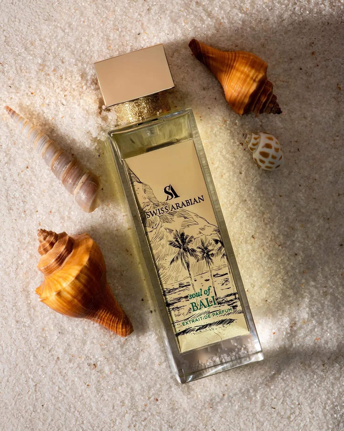 https://cdn.shopify.com/s/files/1/0798/6898/5693/files/Soul-Of-Bali-Extrait-De-Parfum-100ml-Swiss-Arabian-173902995.jpg?v=1752376923