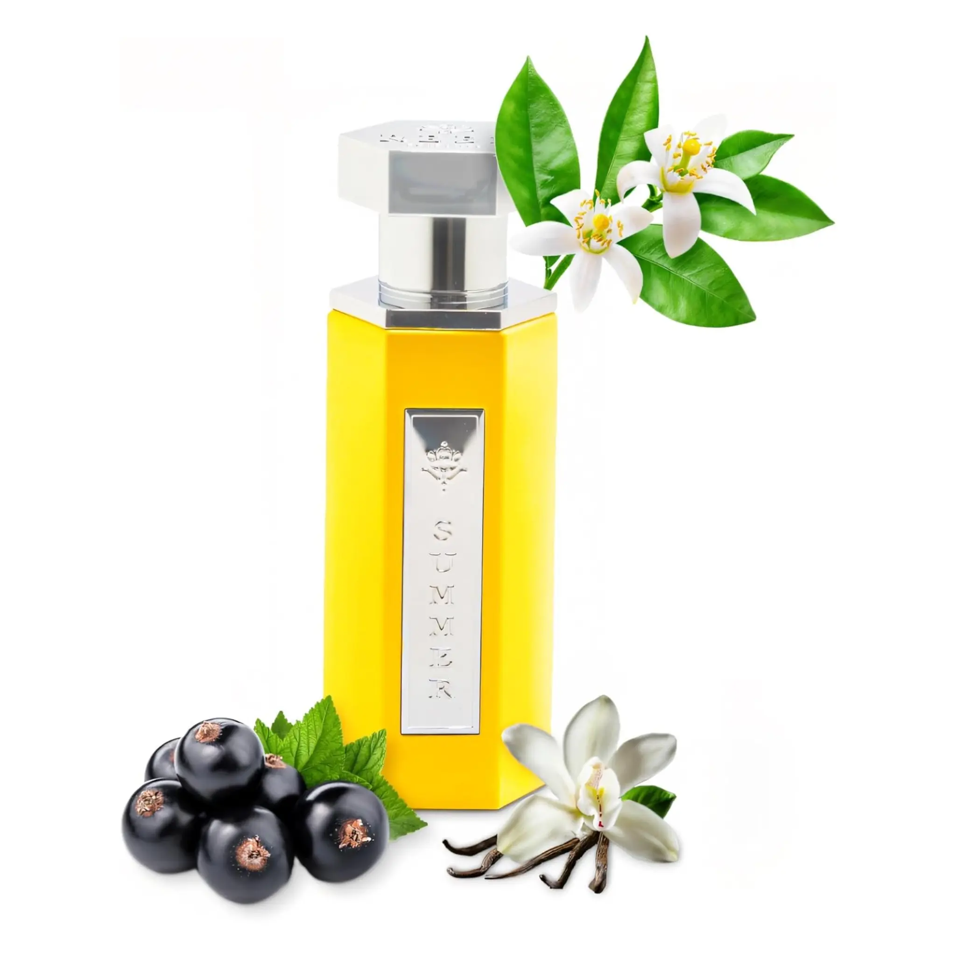https://cdn.shopify.com/s/files/1/0798/6898/5693/files/Summer-Yellow-EDP-100ml-Reef-Perfumes-179468467.png?v=1772236421