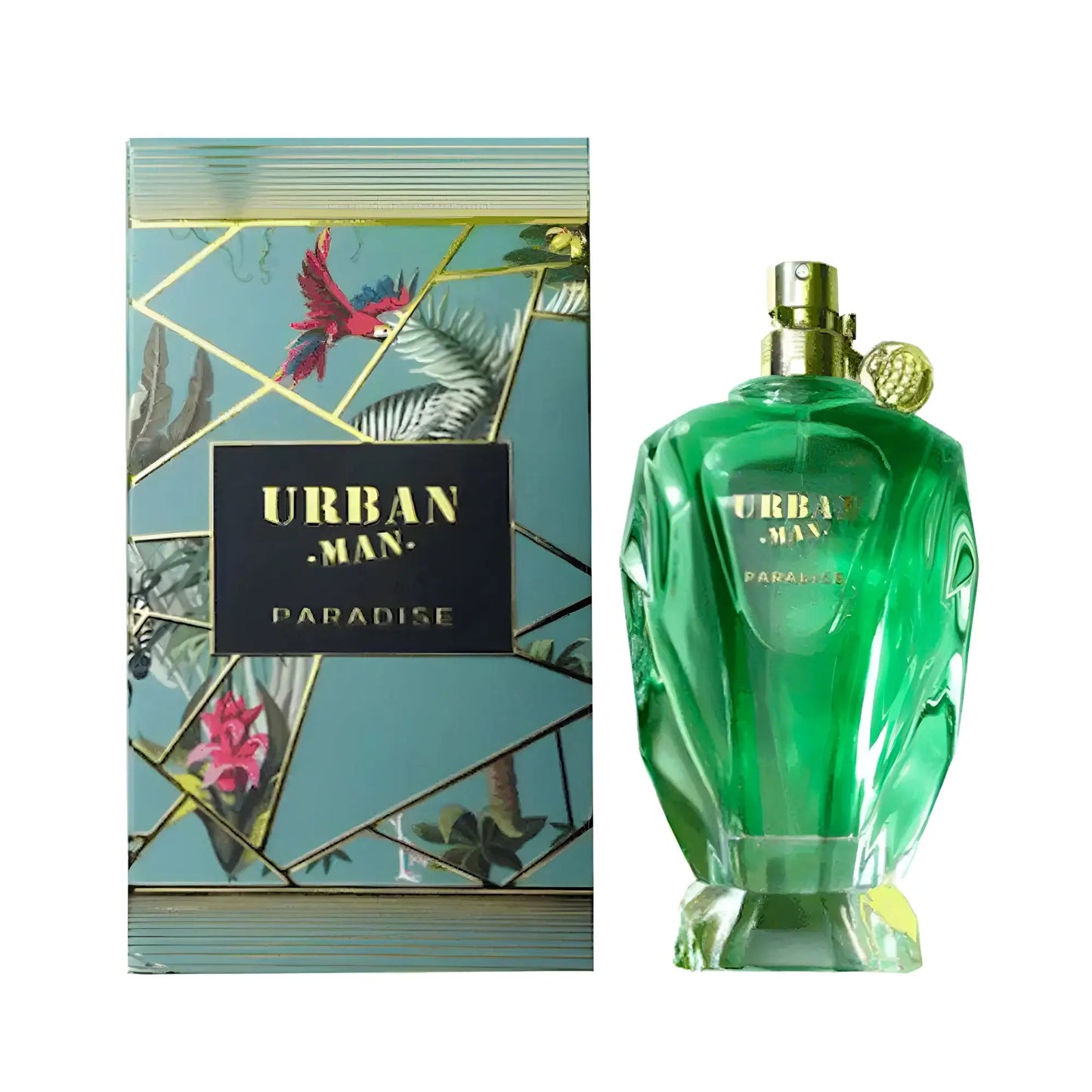 https://cdn.shopify.com/s/files/1/0798/6898/5693/files/Urban-Man-Paradise-Perfume-90ml-EDP-Fragrance-World-171917251.jpg?v=1751743470