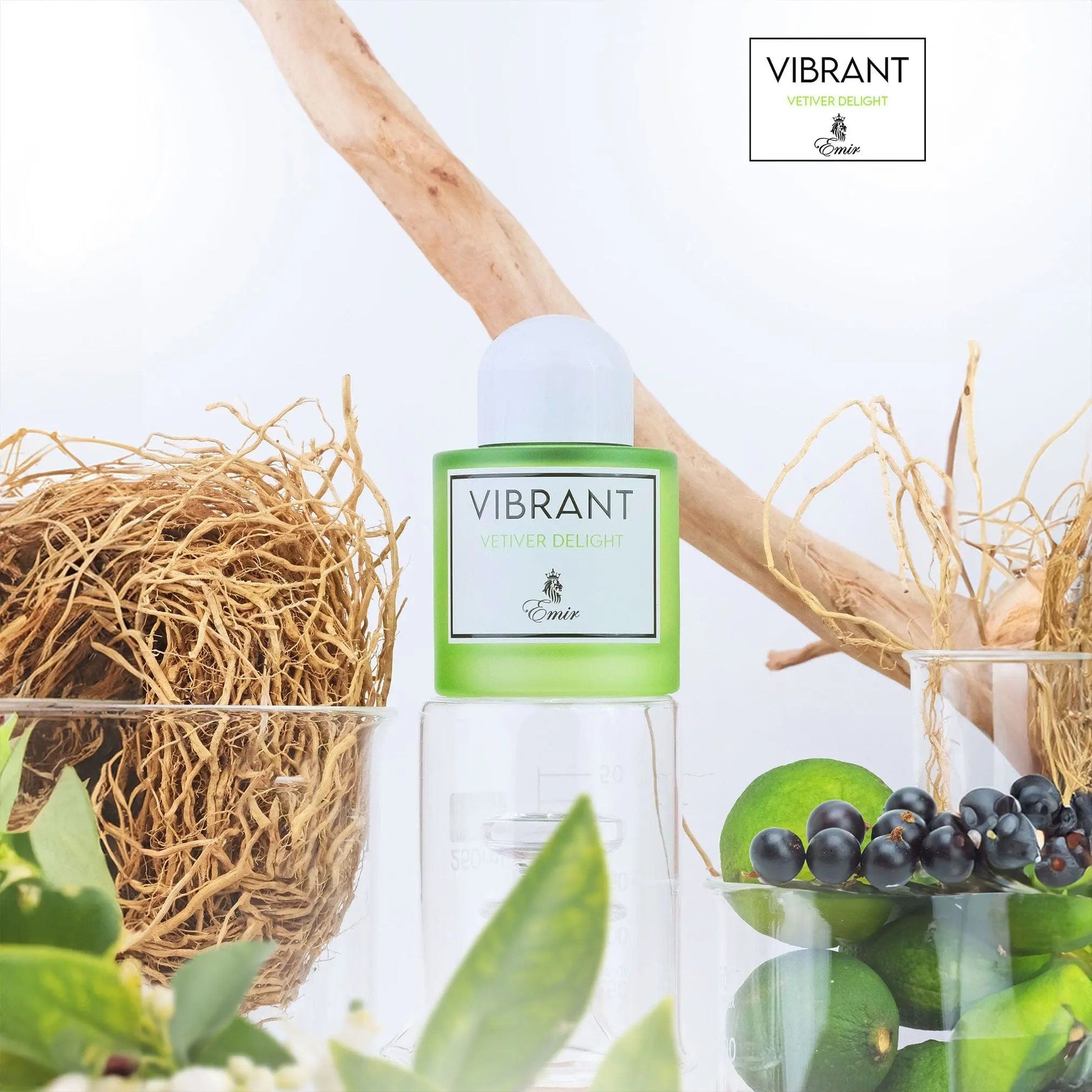 https://cdn.shopify.com/s/files/1/0798/6898/5693/files/Vibrant-Vetiver-Delight-Perfume-100ml-EDP-Emir-by-Paris-Corner-169986188.jpg?v=1750948717